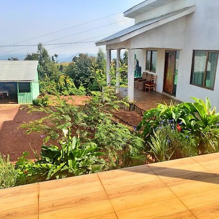 Ruhija Gorilla Guest House Kabale Exteriör bild