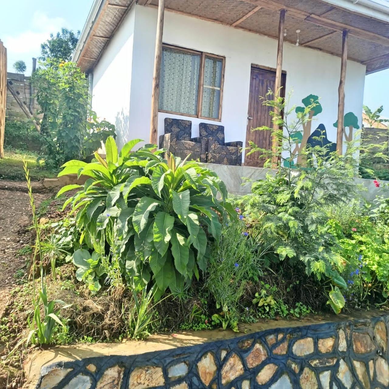 Ruhija Gorilla Guest House Kabale Exteriör bild